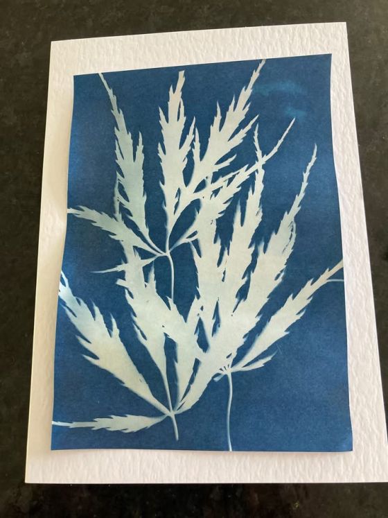 Leaves 2