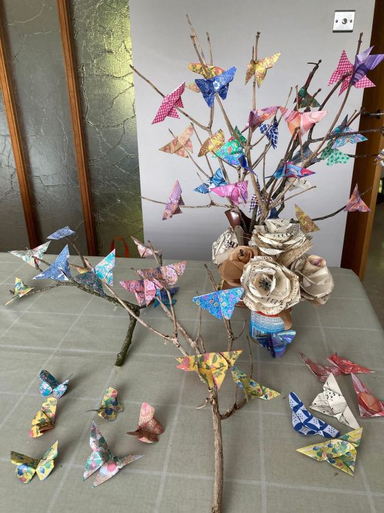 Butterflies